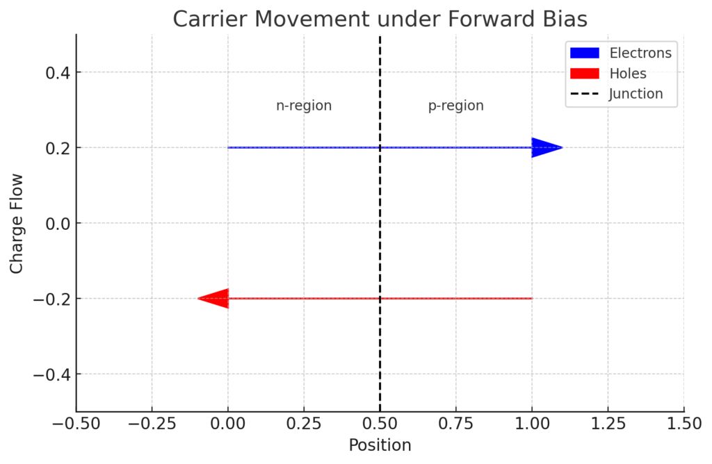 Carrier Movement under Forward and Reverse Bias