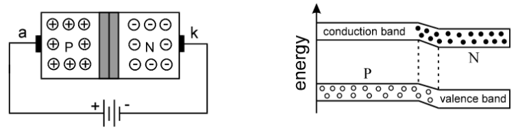 Forward characteristics